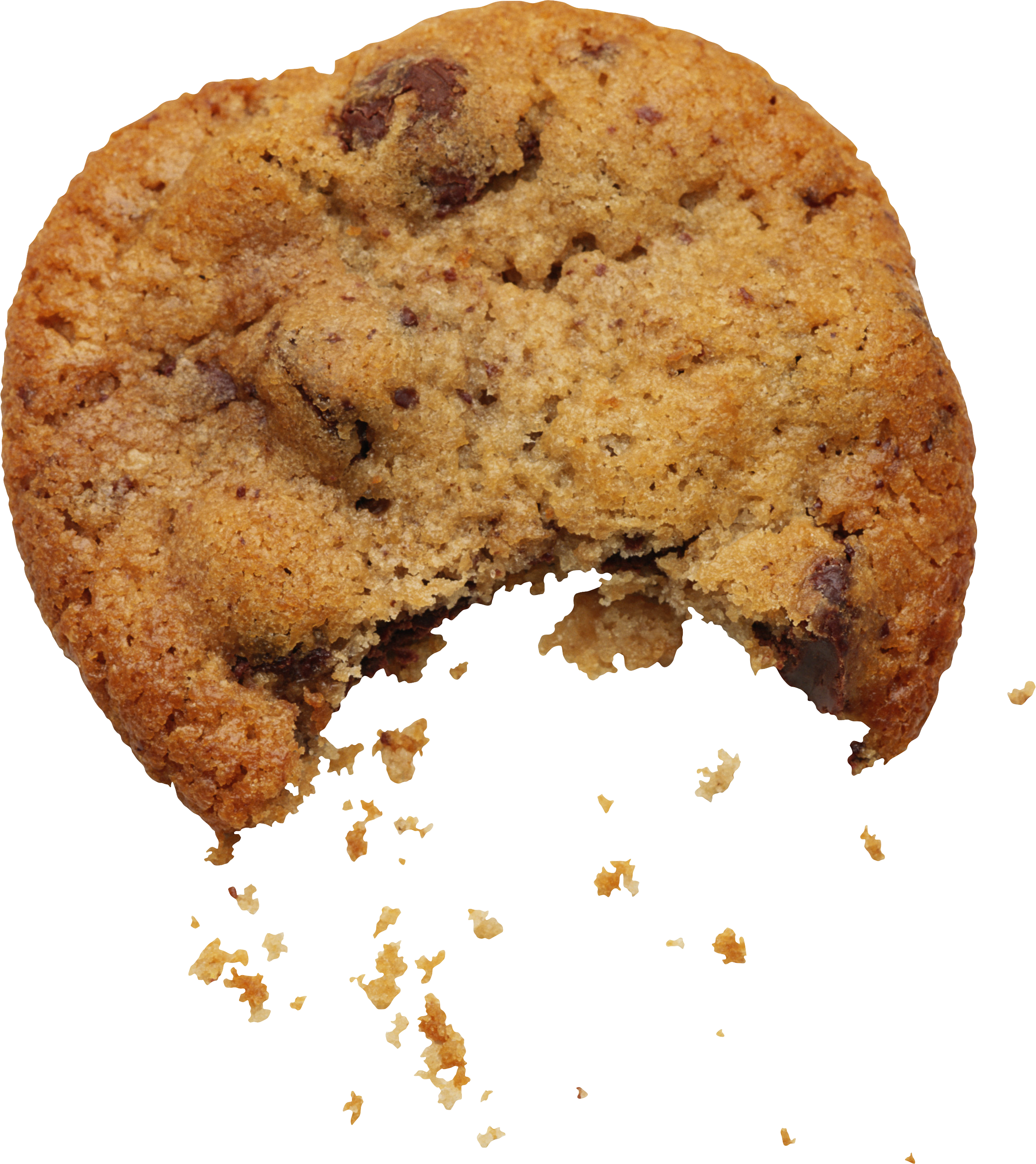 Bitten Chocolate Chip Cookie