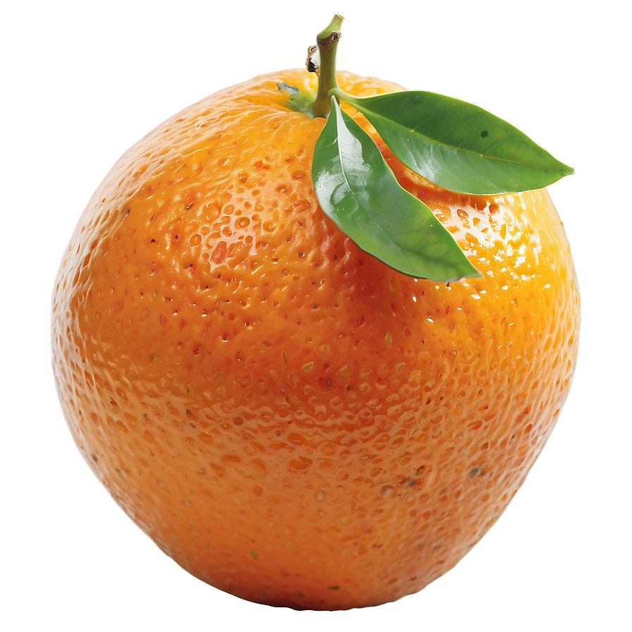 Bitter Orange Fruit Png 05032024