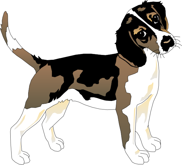 Black And White Beagle Svg Clip Arts - Datos Curiosos Del Perro, HD Png Download PNG with transparent background