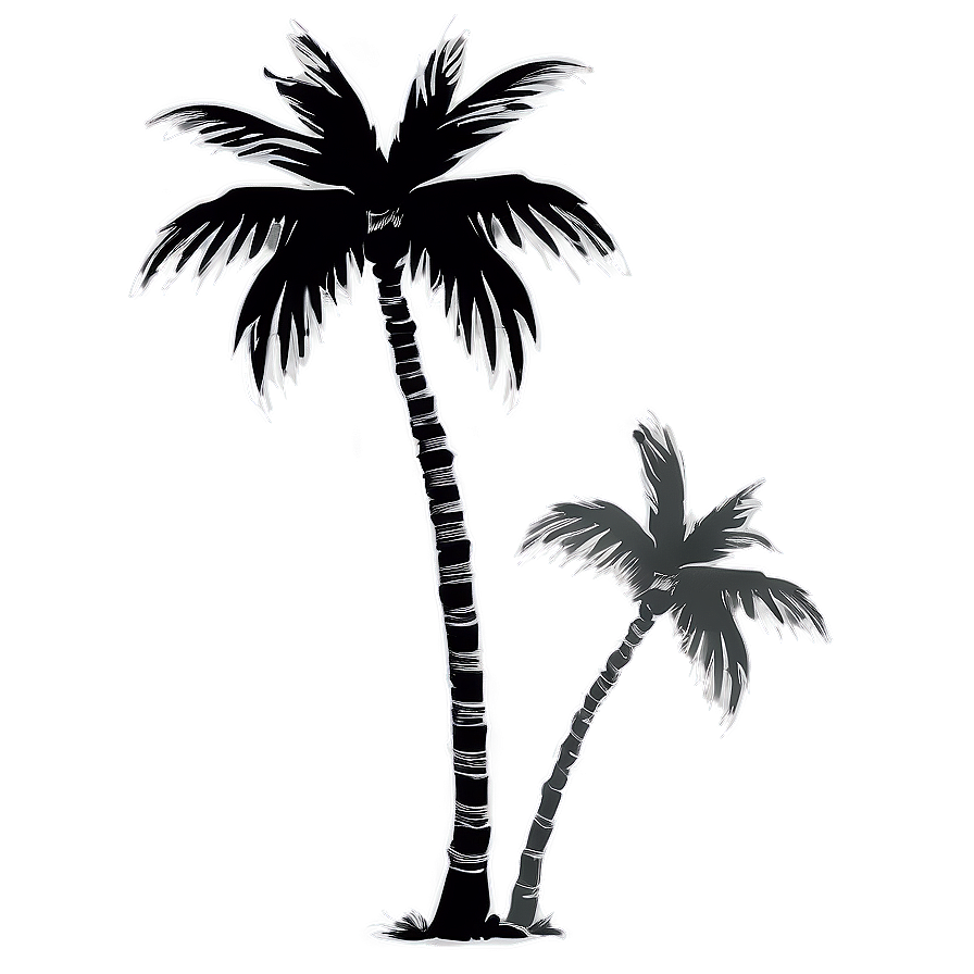 Black And White Coconut Tree Png 65