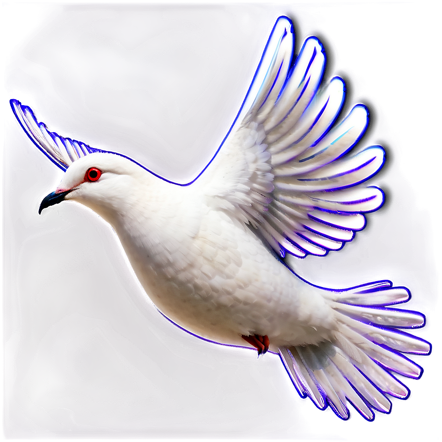 Black And White Dove Clipart Png 9