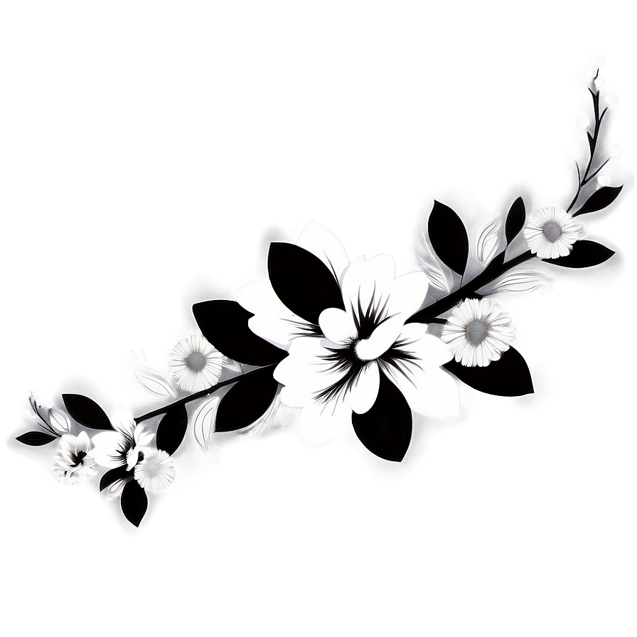 Black And White Floral Art Png 06282024