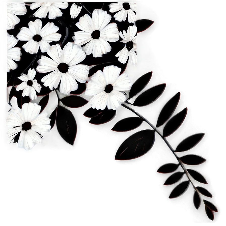 Black And White Floral Art Png 63