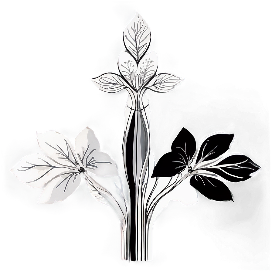 Black And White Floral Art Png Fxy