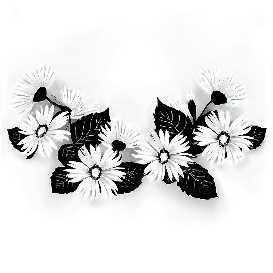 Black And White Floral Clipart Png 06282024