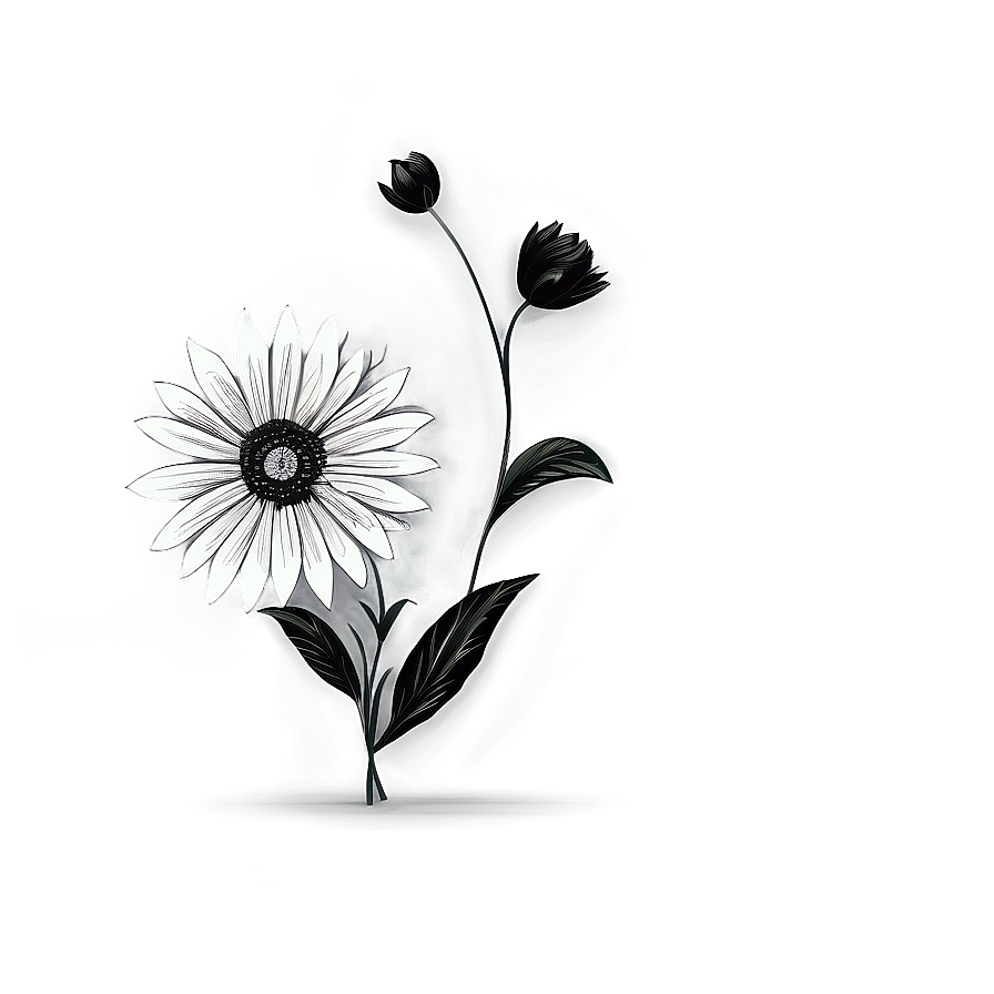 Black and White Flower Drawing PNG uno PNG image with a transparent background, free high-resolution download