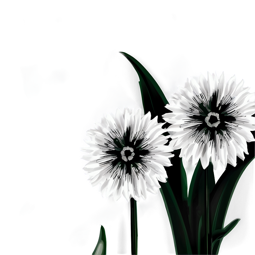 Black And White Flowers A