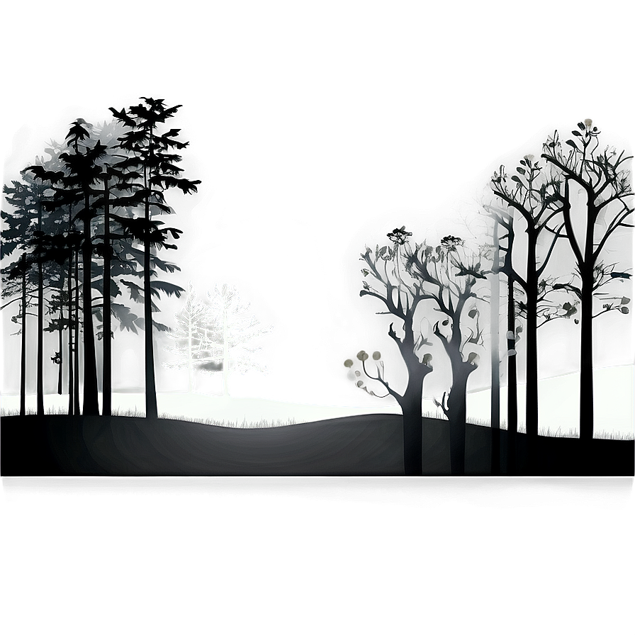 Black And White Forest Silhouette Png Yqe5