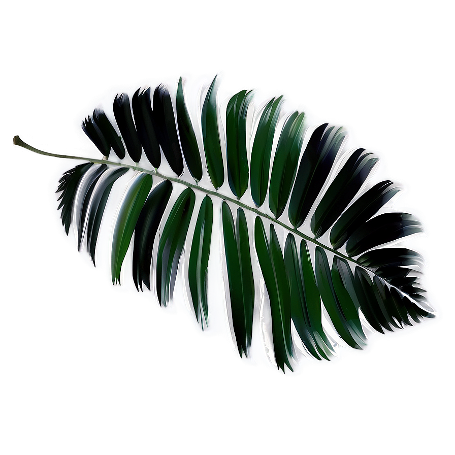 Black And White Palm Leaves Png Qbh93