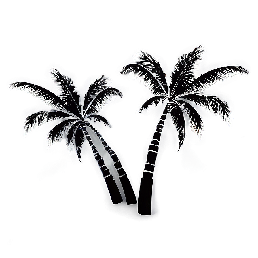 Black And White Palm Trees Png 05042024