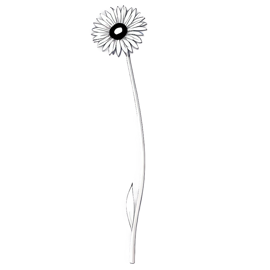 Black And White Summer Flower Png 17