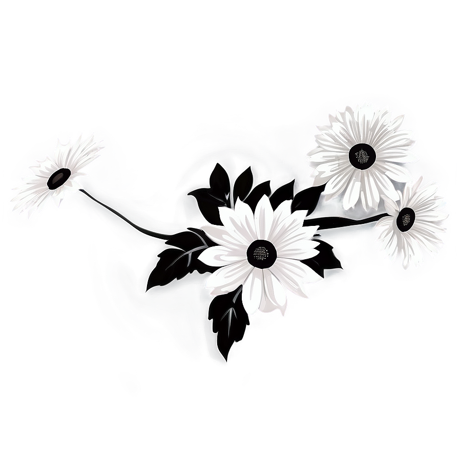 Black And White Summer Flower Png Cvb55