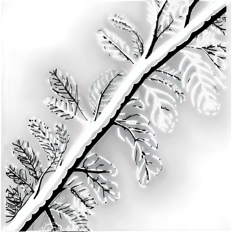 Black And White Tree Branches Png Cdt20