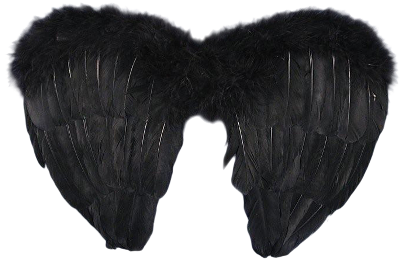Black,wing,fur,costume Accessory,ear - Black Angel Costume Kids, HD Png Download PNG with transparent background