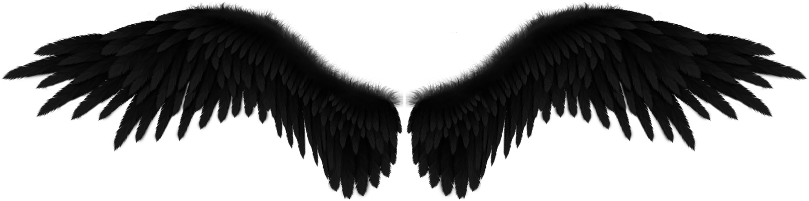 Clip Art The Pretty Tale Sobre - Black Angel Wings Background, HD Png Download PNG with transparent background