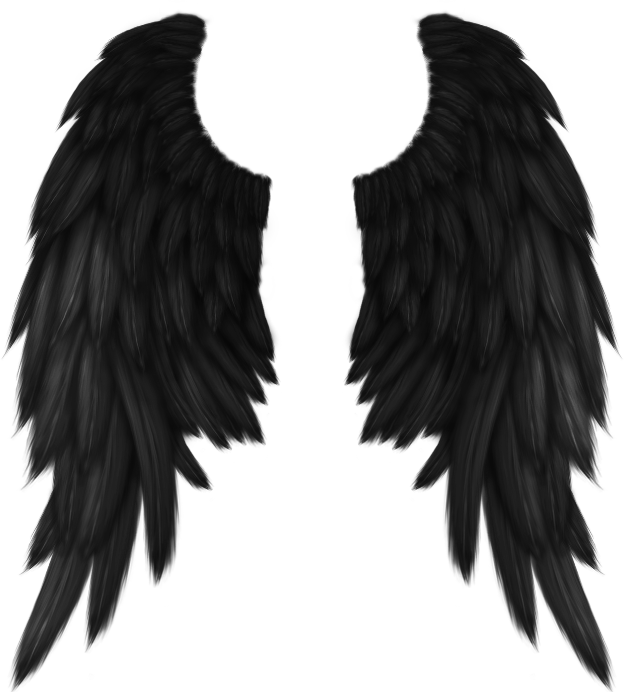 Black Angel Wings Illustration