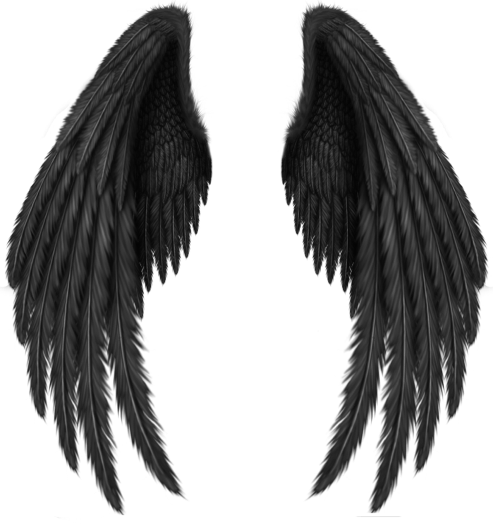 Black Wings Png Image - Picsart Wing, Transparent Png PNG with transparent background