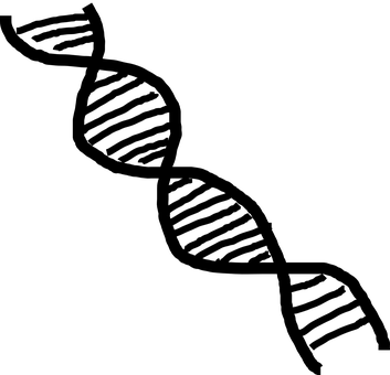 Black Background Blank Image PNG image with a transparent background, free high-resolution download