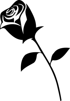 Black Background Floral Composition.jpg PNG with transparent background