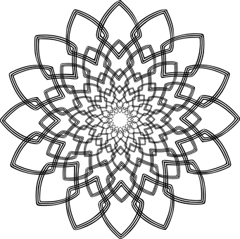 Black Background Flower Photo PNG with transparent background