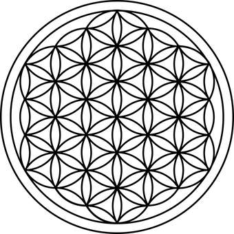 Black Background Flower Photo PNG with transparent background