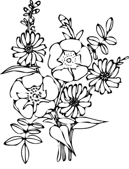 Black Background Flower Photo PNG with transparent background