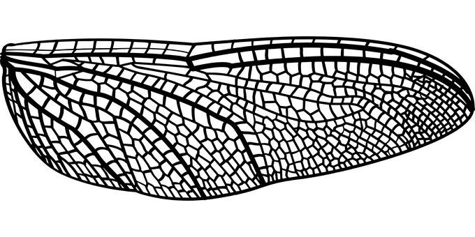 Black Background Texture PNG with transparent background