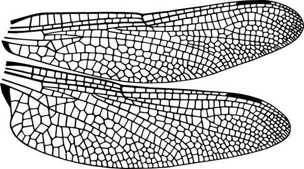 Black Background Texture PNG with transparent background