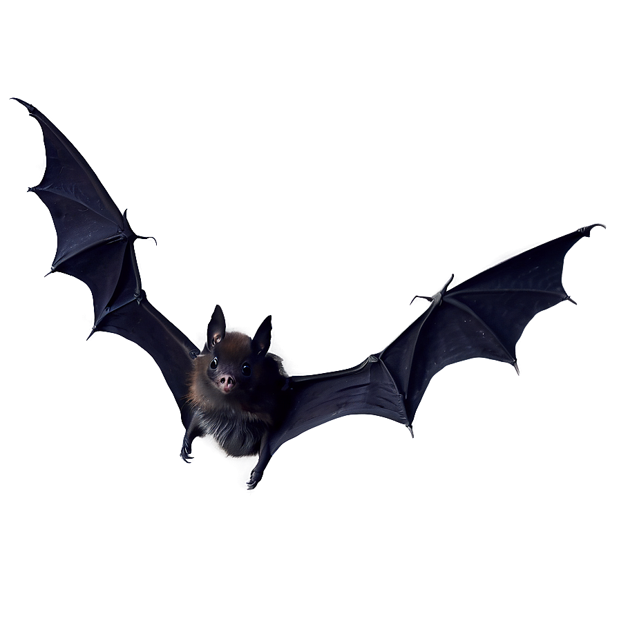 Black Bats Cutout Png Oau