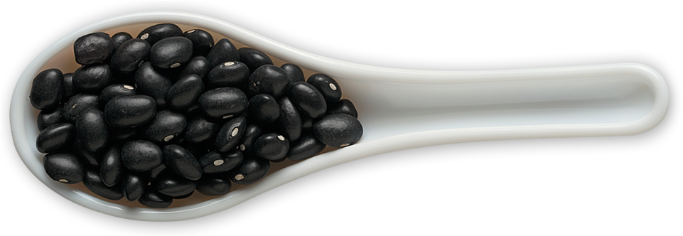 Black Beansin White Spoon