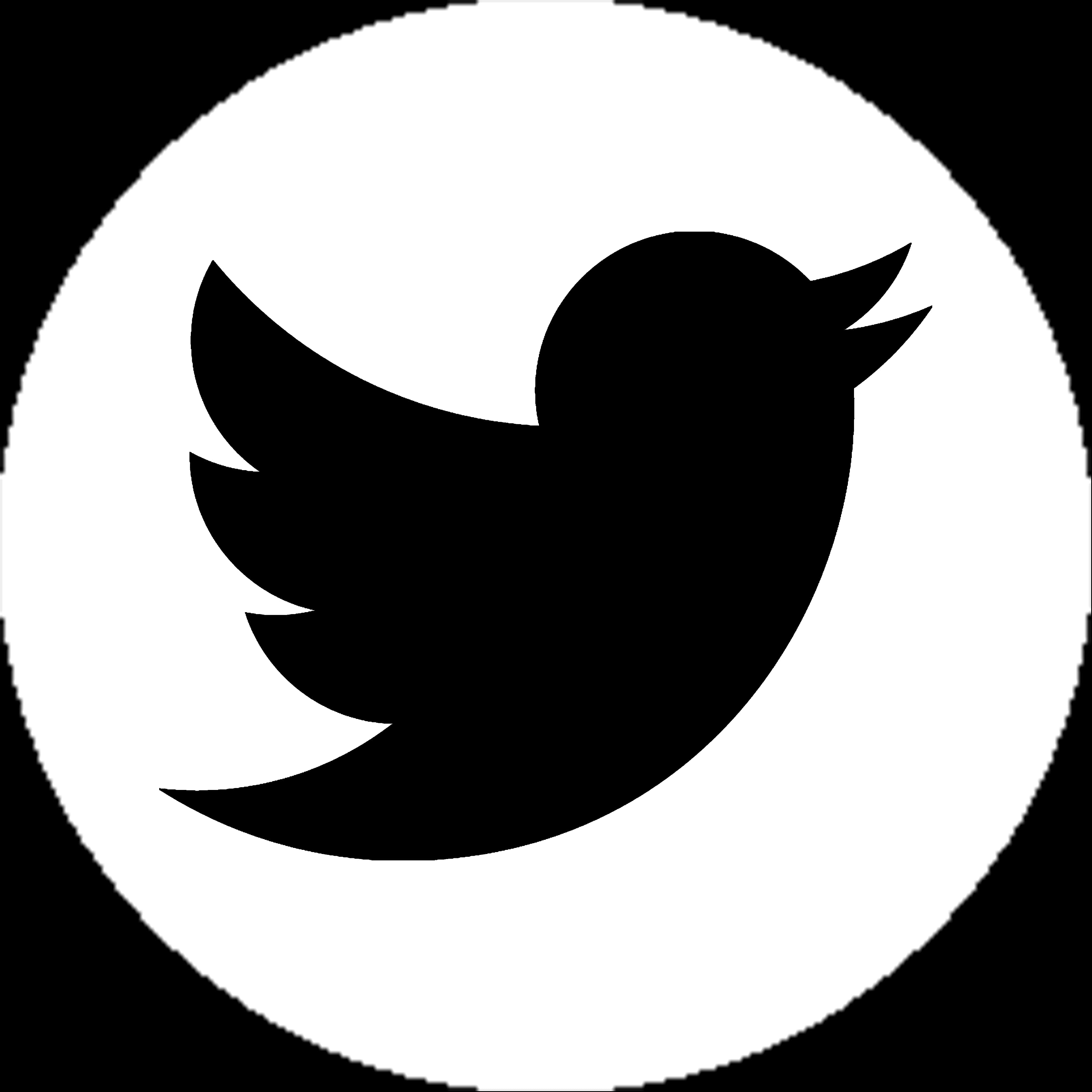 Black Bird Silhouetteon White Circle PNG image with a transparent background, free high-resolution download