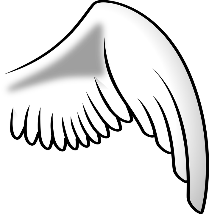 Wing, Angel, Right, Chicken - Right Angel Wing Png, Transparent Png PNG with transparent background