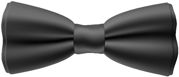 Bow Tie Clipart PNG PNG with transparent background
