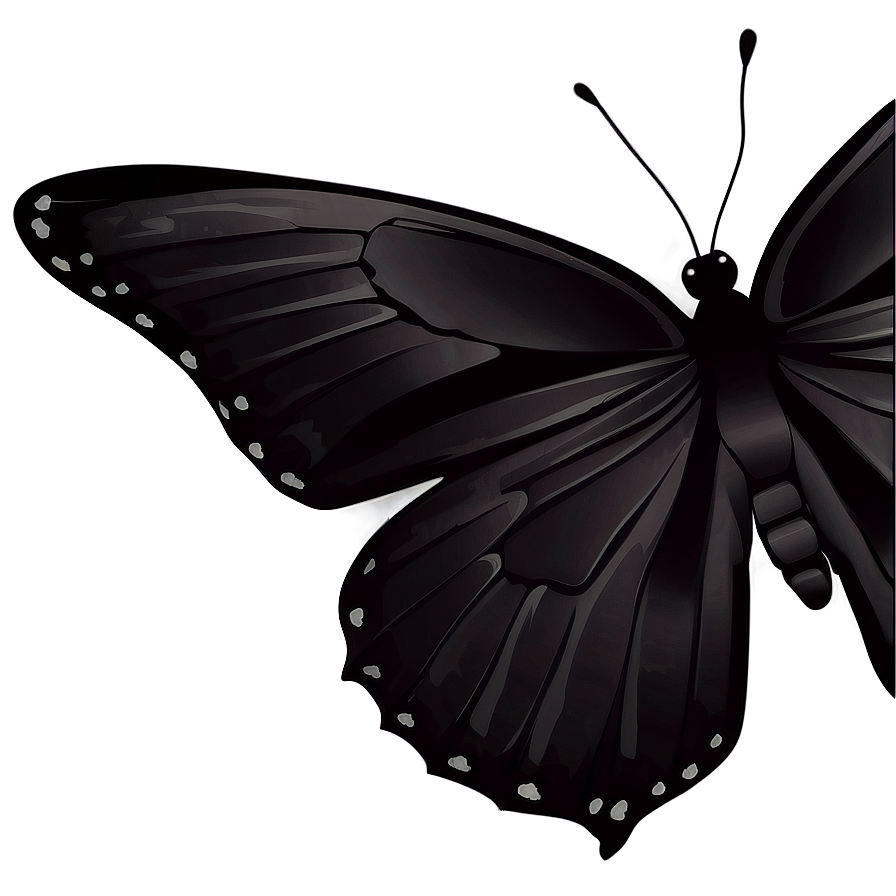 Black Butterfly Clipart Png Fcx67