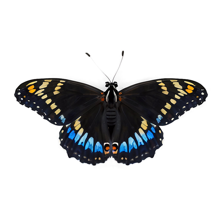 Black Butterfly In Flight Png 06252024