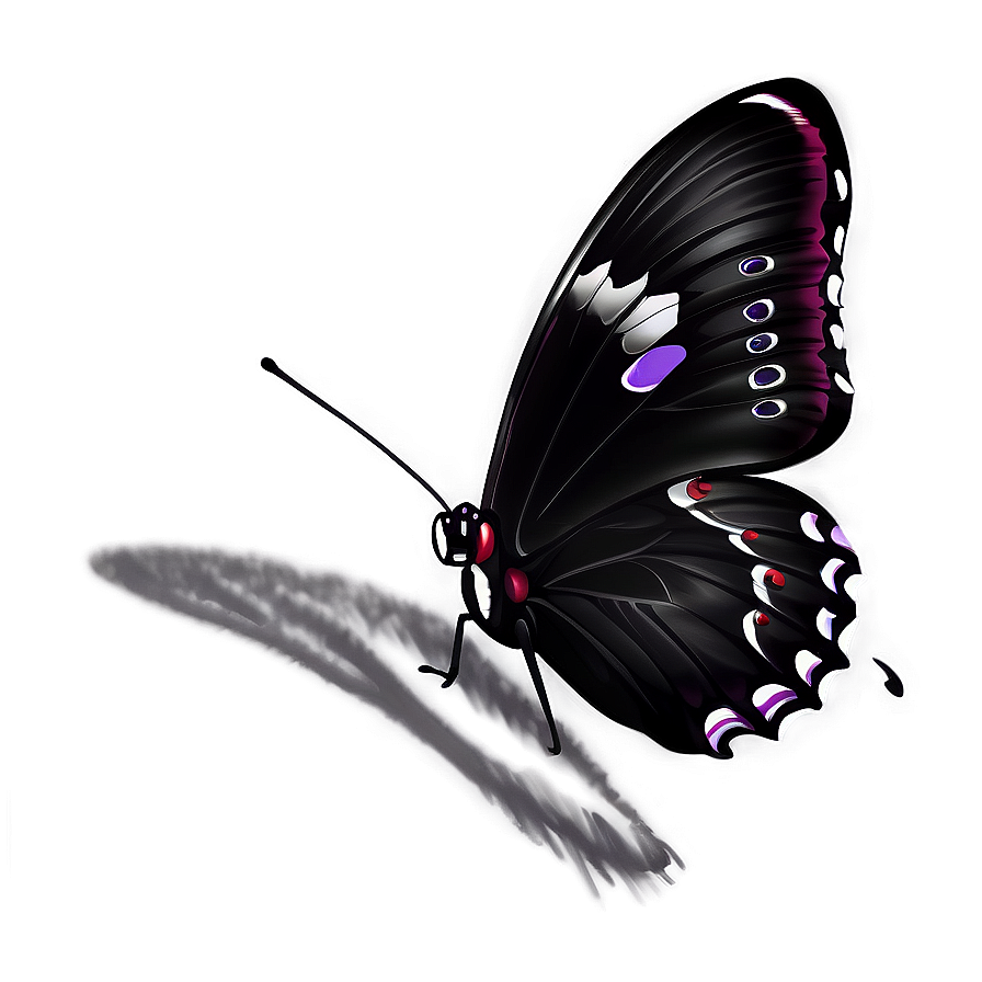 Black Butterfly Sketch Png 06252024