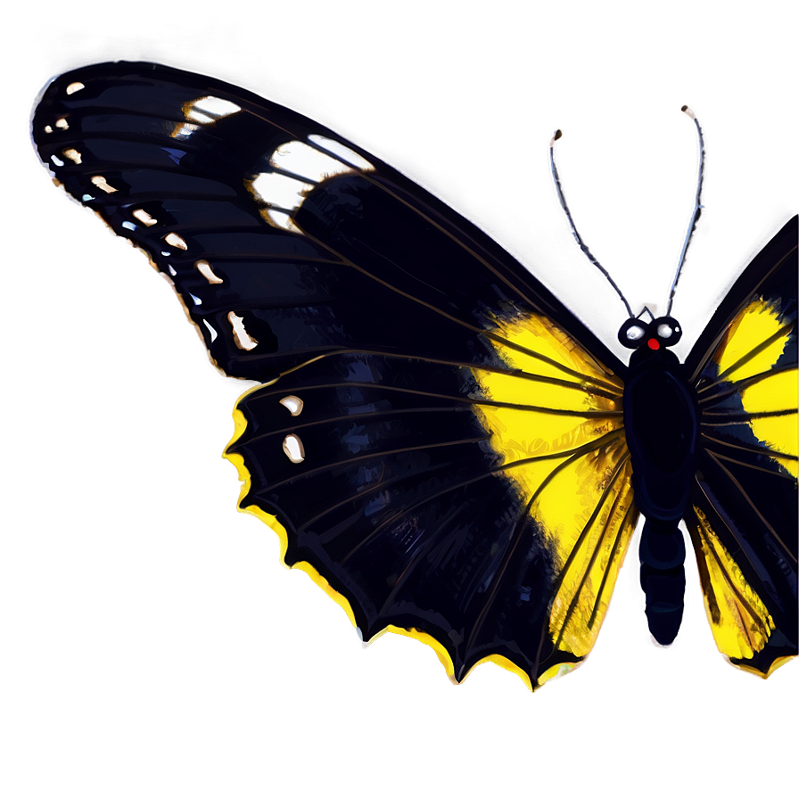 Black Butterfly Sketch Png 06252024