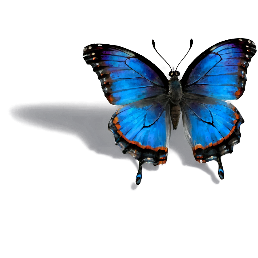 Black Butterfly With Blue Highlights Png Llk