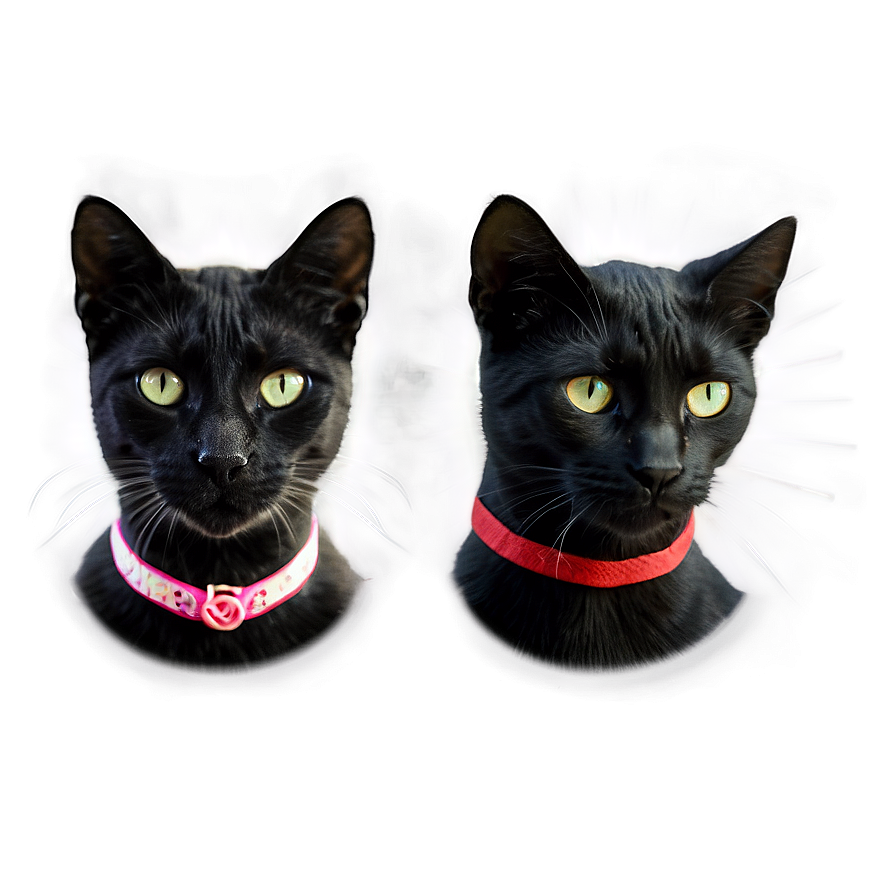 Black Cat Filter Png Cuu53