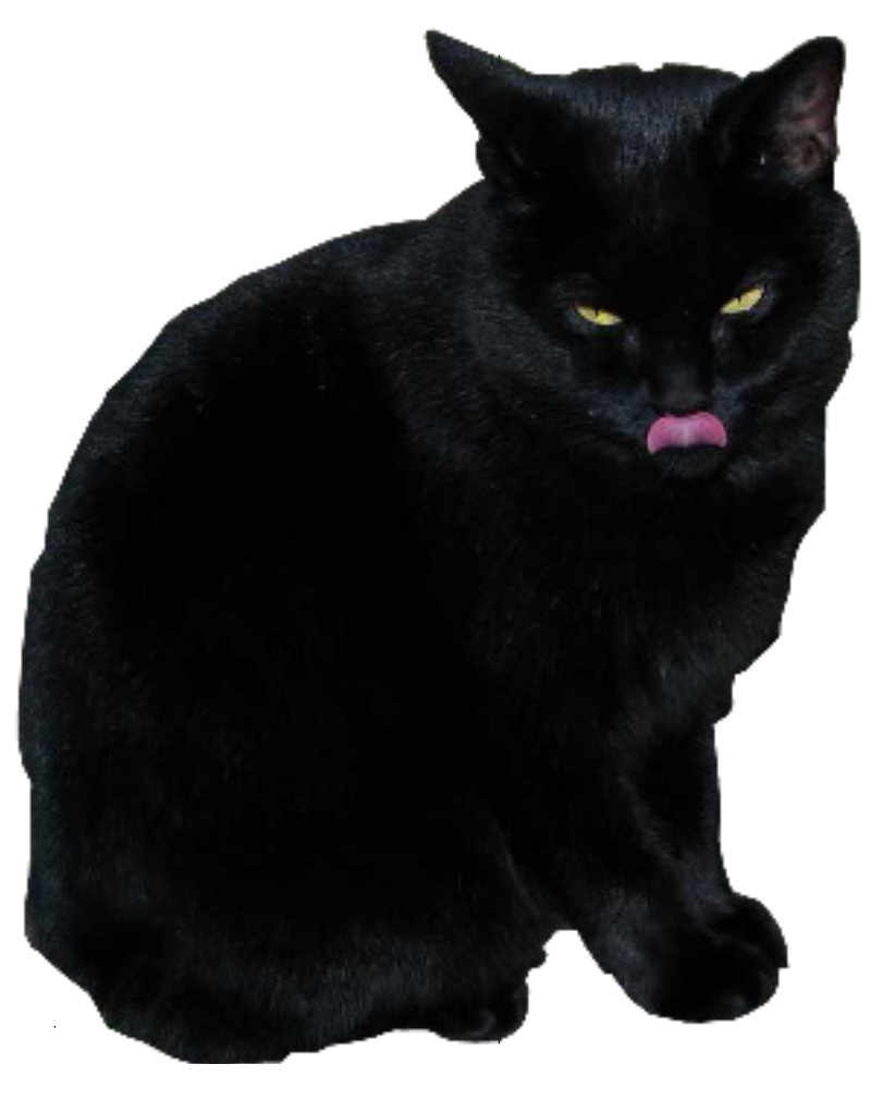 Black Cat Licking Lips