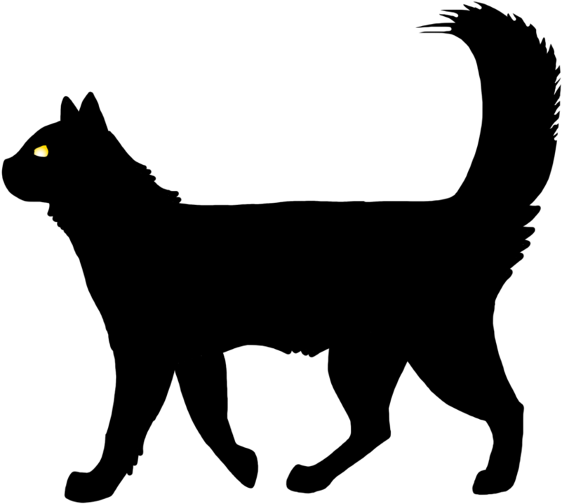 Transparent Cat Vector Png - Black Cat Gif Png, Png Download PNG with transparent background