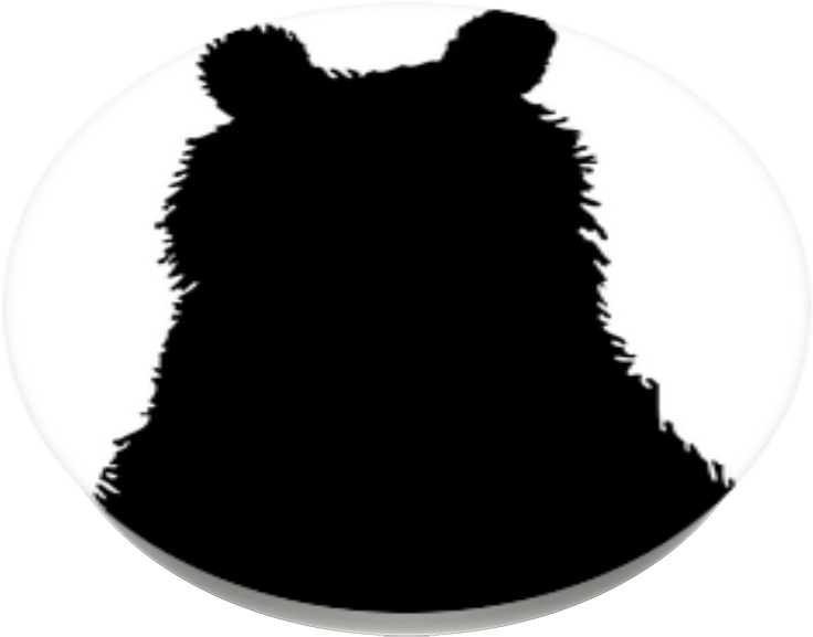 Transparent Black Cat Ears Png - Black Cat, Png Download PNG image with a transparent background, free high-resolution download