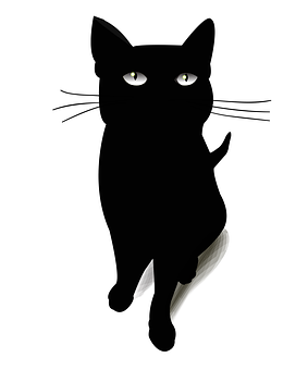 Black Cat Silhouette Illustration PNG with transparent background