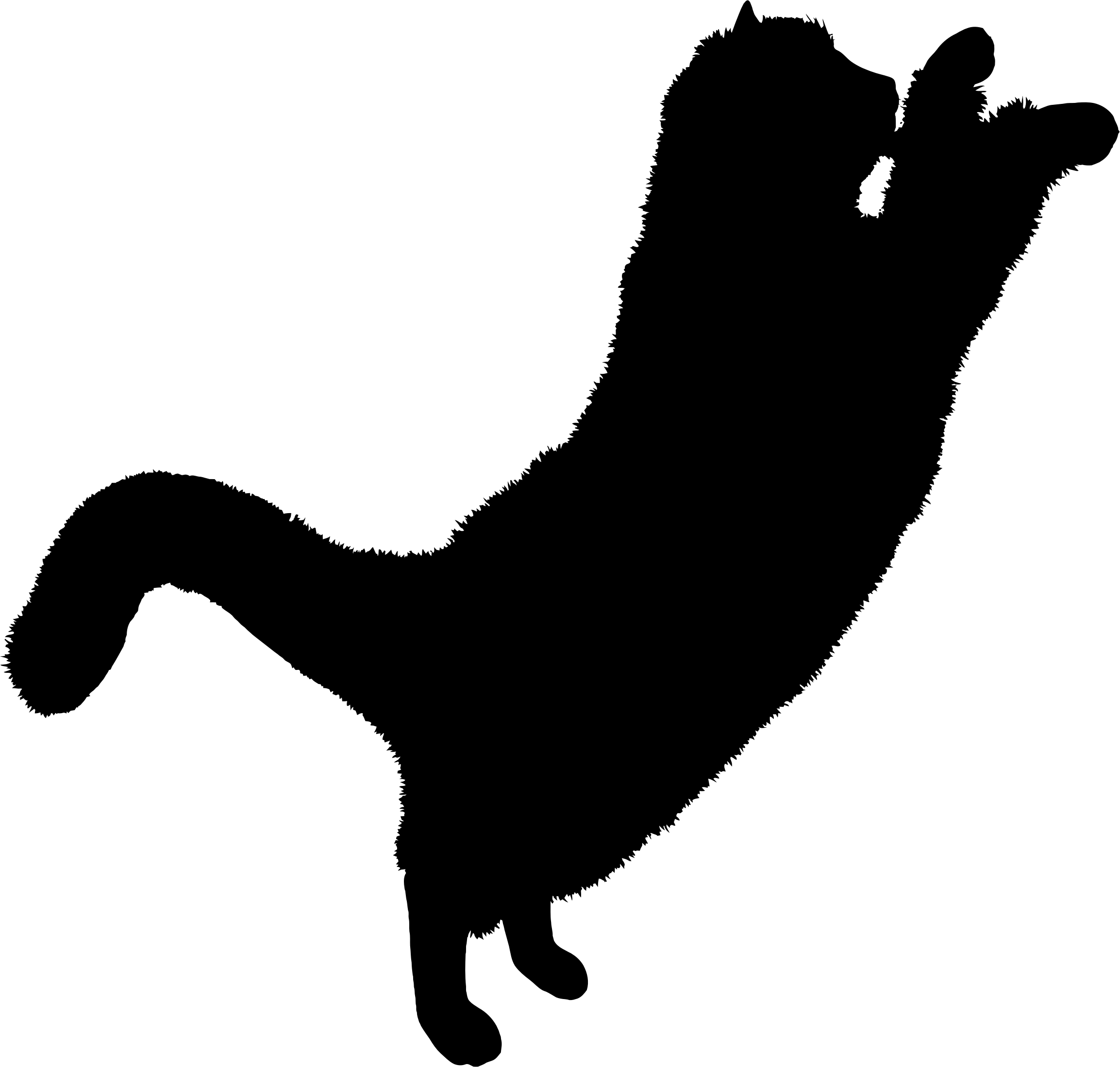 Download Free High Quality Black Cat Png Transparent - Black Cat Png Hd, Png Download PNG image with a transparent background, free high-resolution download