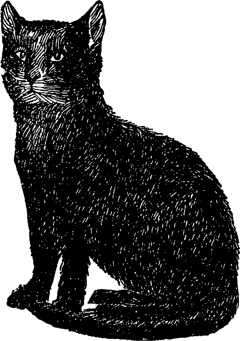Cat Black Image Illustration - Vintage Black Cat Illustration, HD Png Download PNG with transparent background