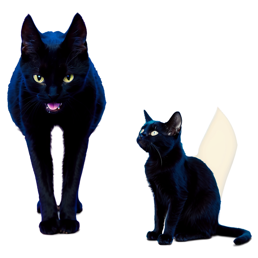 Black Cat Yawning Png Qpn