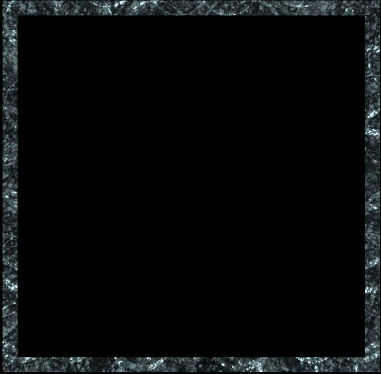 Black Centerwith Textured White Border