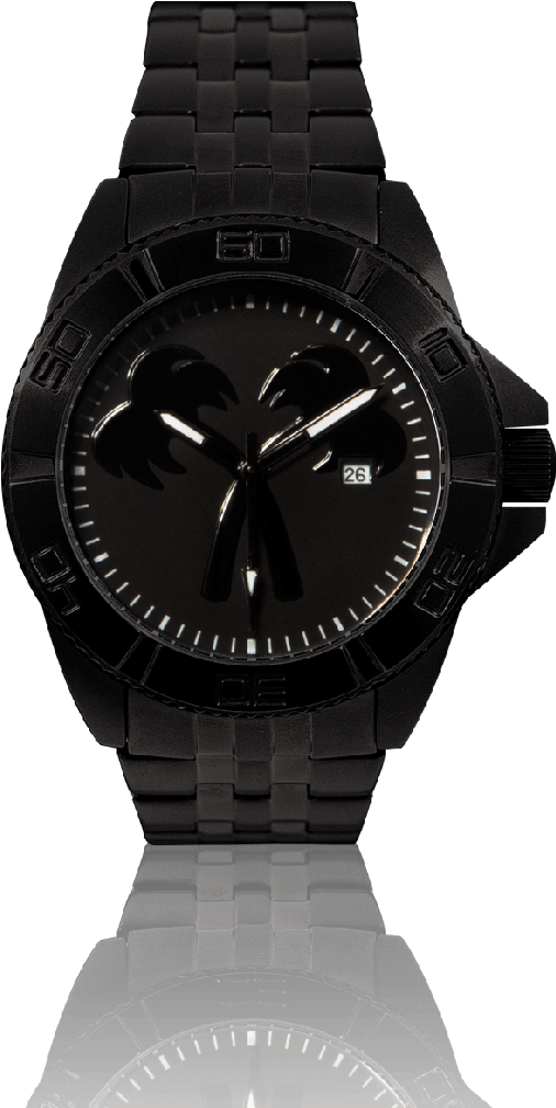 Black Dial Analog Watch