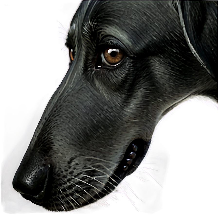 Black Dog Nose Png Nrn91