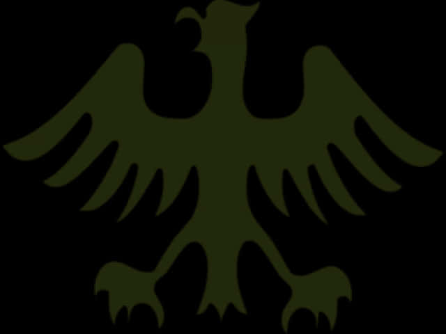 Black Eagle Silhouette